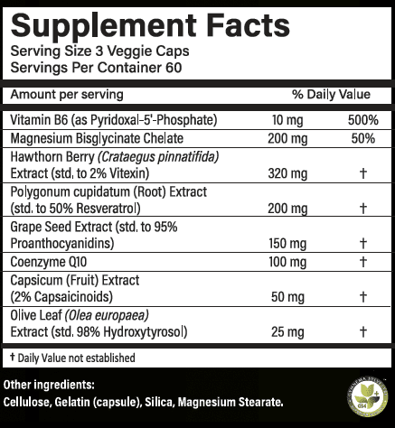 Blood Pressure Support - Image 2