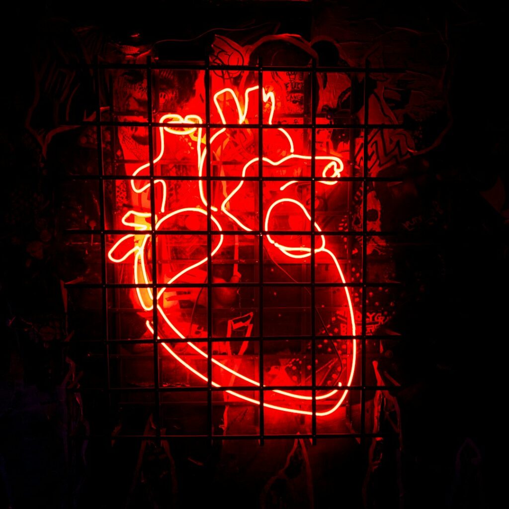 cardiovascular